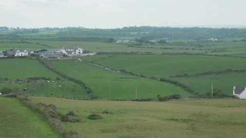 Causeway Coast landscape. Elevated view of rolling green fields, hedges, Stock Footage 311756817