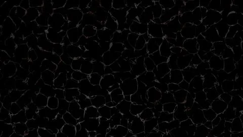 Caustic  and light reflected on the water surface. Sea texture. 3d illustra.. Stock Illustration