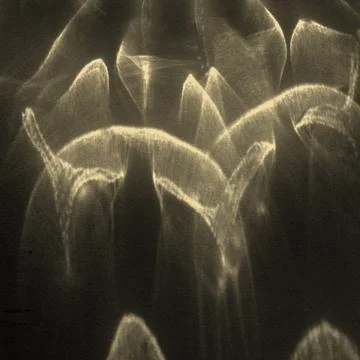 Caustic effect, play of shadows on black background Stock Photos