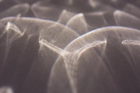 Caustic effect, play of shadows on a grey background Stock Photos