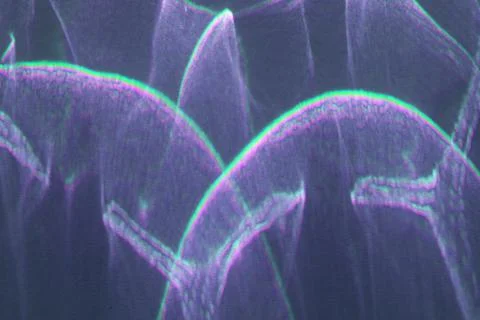 Caustic effect, play of shadows on navy blue background Stock Photos