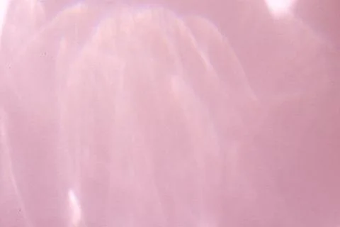 Caustic effect, play of shadows on a pink background Stock Photos