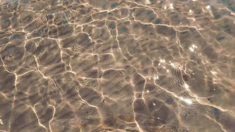 Caustic effect in seawater Stock Footage 279146125