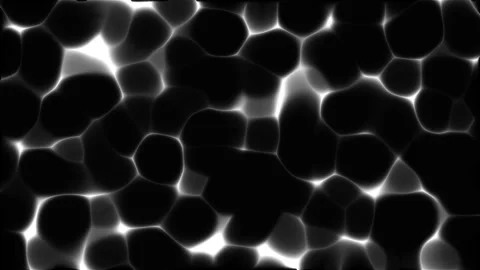 Caustic overlay effect Stock Footage 312758113