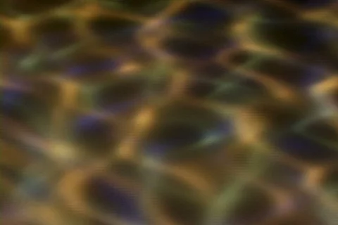 Caustic-Reflction1 Stock Footage