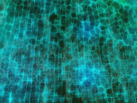 Caustic ripple Stock Footage 792122