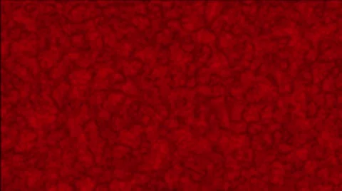 Caustics Background. Stock Footage 65805512