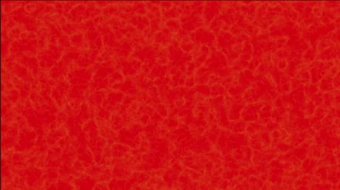 Caustics Background. Stock Footage 65805770