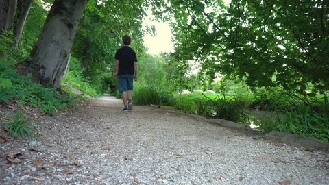 Causually Dressed Young Caucasian Man Walking in Idyllic Forest Stock Footage 96855376