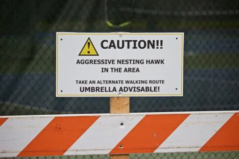 Caution aggressive nesting hawk sign Stock Photos