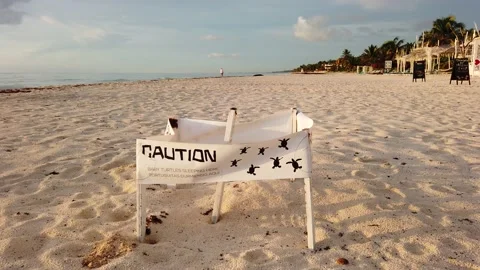 Caution Baby Turtles Sleeping Here Tulum Mexico 動画素材 137428006