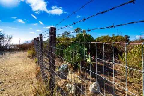 Caution Barbed Wire Stock Photos