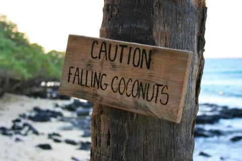 Caution falling coconuts Stock Photos