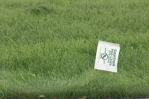 Caution Flag in Ground along Curb with Traffic in Background Stock Footage 121110157