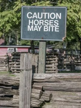 Caution Horses May Bite Stock Photos