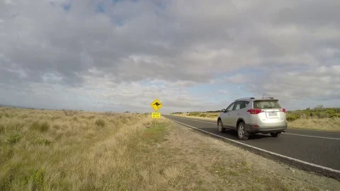 Caution Kangaroo sign alongisde the Great Ocean Road in Victoria Australia Stock Footage 82182806