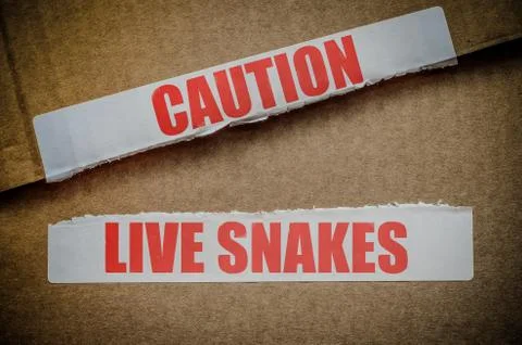 Caution live snakes Stock-Fotos