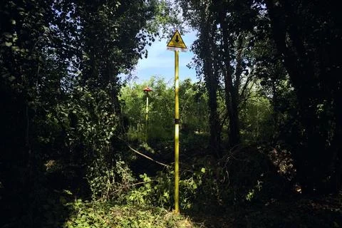 Caution sign between two trees in a grove in the italian countryside Stock Photos