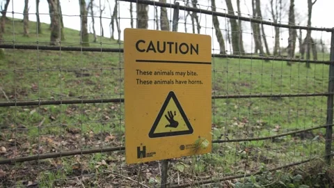 Caution Sign Stock Footage 256161418