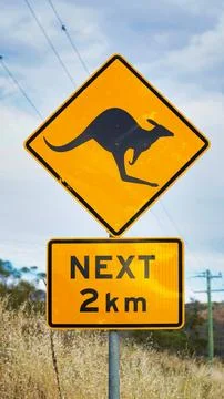Caution sign indicates potential kangaroo activity along rural road in Aust.. Stock Photos