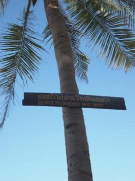 Caution sign on Palm tree, beach warning Foto stock