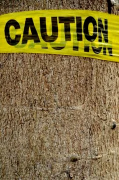 Caution sign on a tree 스톡 사진