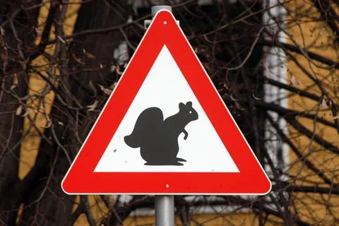 Caution squirrel crossing sign, red triangle with squirrel pictogram Stock Photos