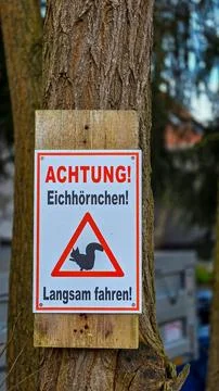 Caution, Squirrel. Drive carefully. Selective focus. The sign in German on the Foto stock