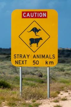 Caution stray animals next 50 km road sign in Australia Stock Photos