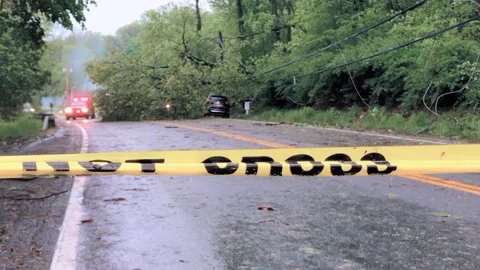 Caution Tape Blocks Road After Tree Falls on Car Stock Footage 314303134