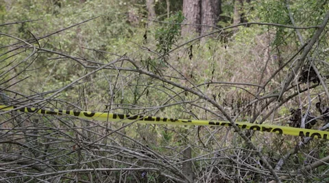 Caution Tape Stock Footage 39829768