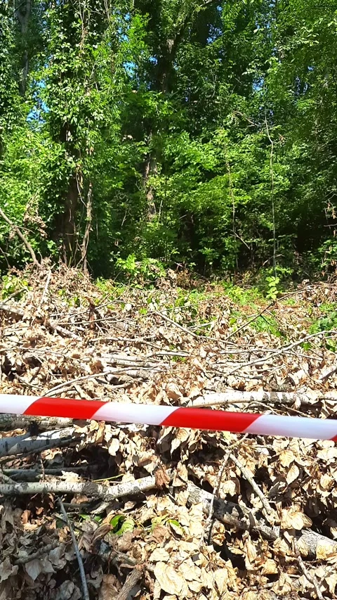 Caution tape Stock Footage 270183890