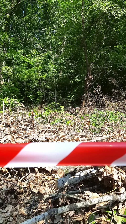 Caution tape Stock Footage 274498070