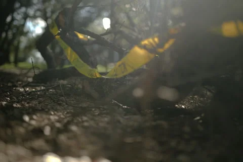 Caution tape Stock Footage 278026451