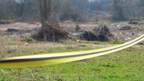 Caution tape in the forest during deforestation in 4k slow motion 60fps Stock Footage 152696139