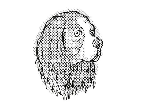Cavalier King Charles Spaniel Dog Breed Cartoon Retro Drawing. Stock Illustration