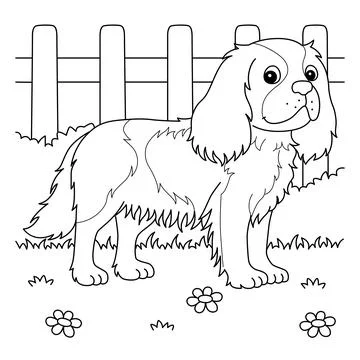 Cavalier King Charles Spaniel Dog Coloring Stock Illustration