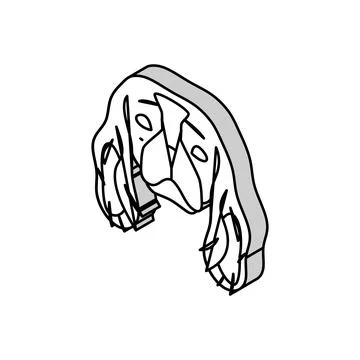 Cavalier king charles spaniel dog puppy pet isometric icon vector illustration Stock Illustration
