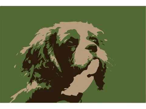 Cavalier King Charles Spaniel Stock Illustration