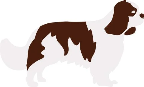 Cavalier king charles spaniel Stock Illustration