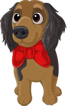 Cavalier king charles spaniel with red bow tie Stock Illustration