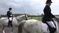 Cavaliers presenting their white horses HD Footage