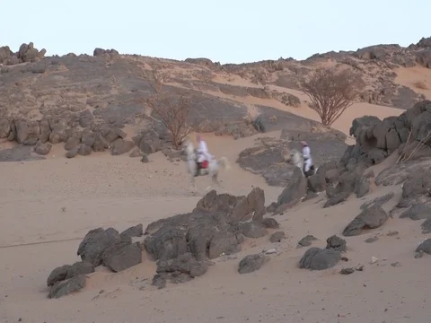 Cavalry Stock-Footage 112776484