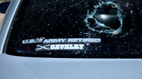 Cavalry Stock Footage 167243997