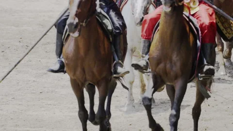 Cavalry Stock Footage 205515549