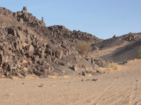 Cavalry on horses Stock Footage 112776127