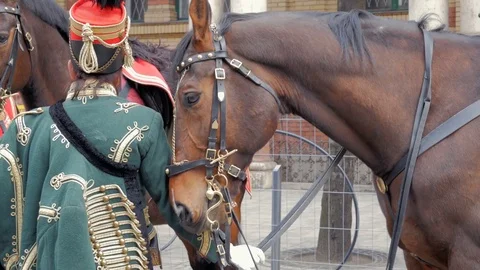 Cavalry rides in hussars parade Stock Footage 82516974