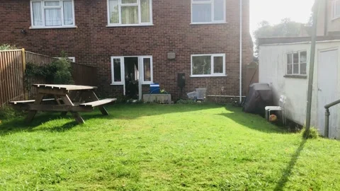 Cavapoo puppy running in the garden Stock Footage 163279812