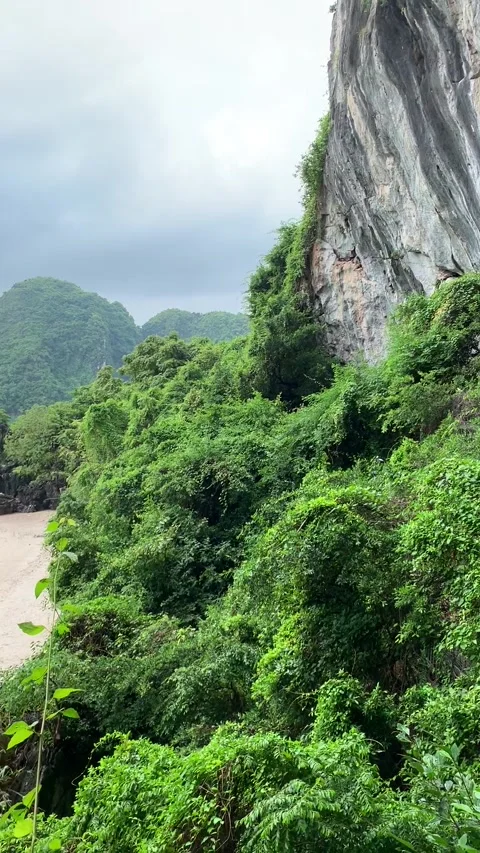 Cave and beach in Halong Bay 库存影片 344996424