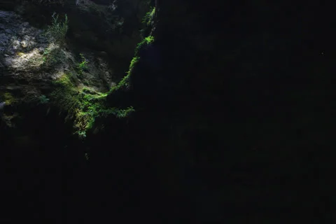 Cave And Forest Landscape In Cuenca, Spain Stock Footage 231872635